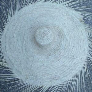 Chapeau mural en palmier