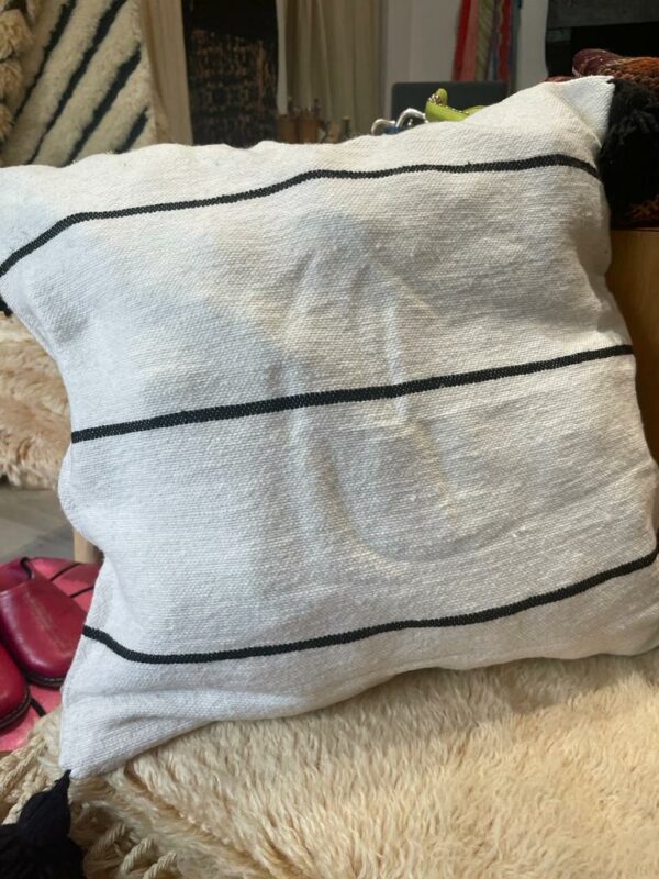 Housse de coussin en coton blanc et fine rayure noir.