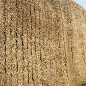 Tapis Mrirt sable doré tapis haut de gamme.