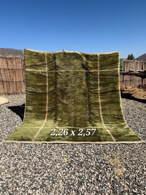 Tapis Mrirt contemporain.