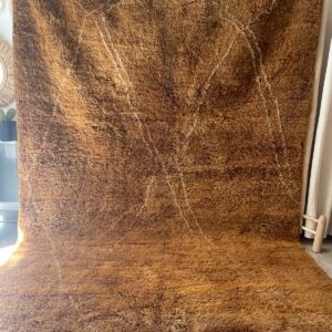 Photo d'un tapis Mrirt brun.