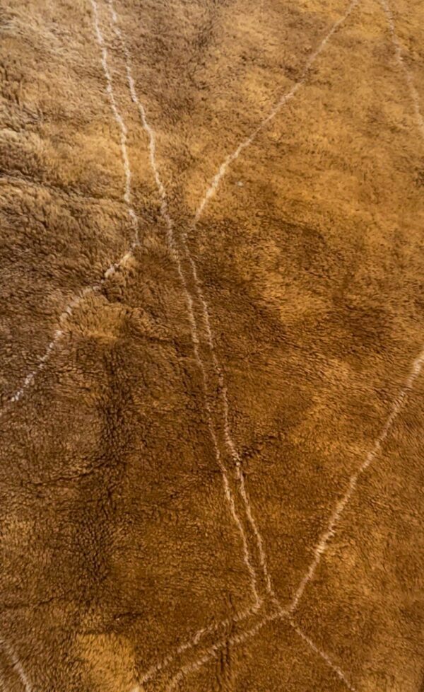 Photo d'un tapis Mrirt brun.