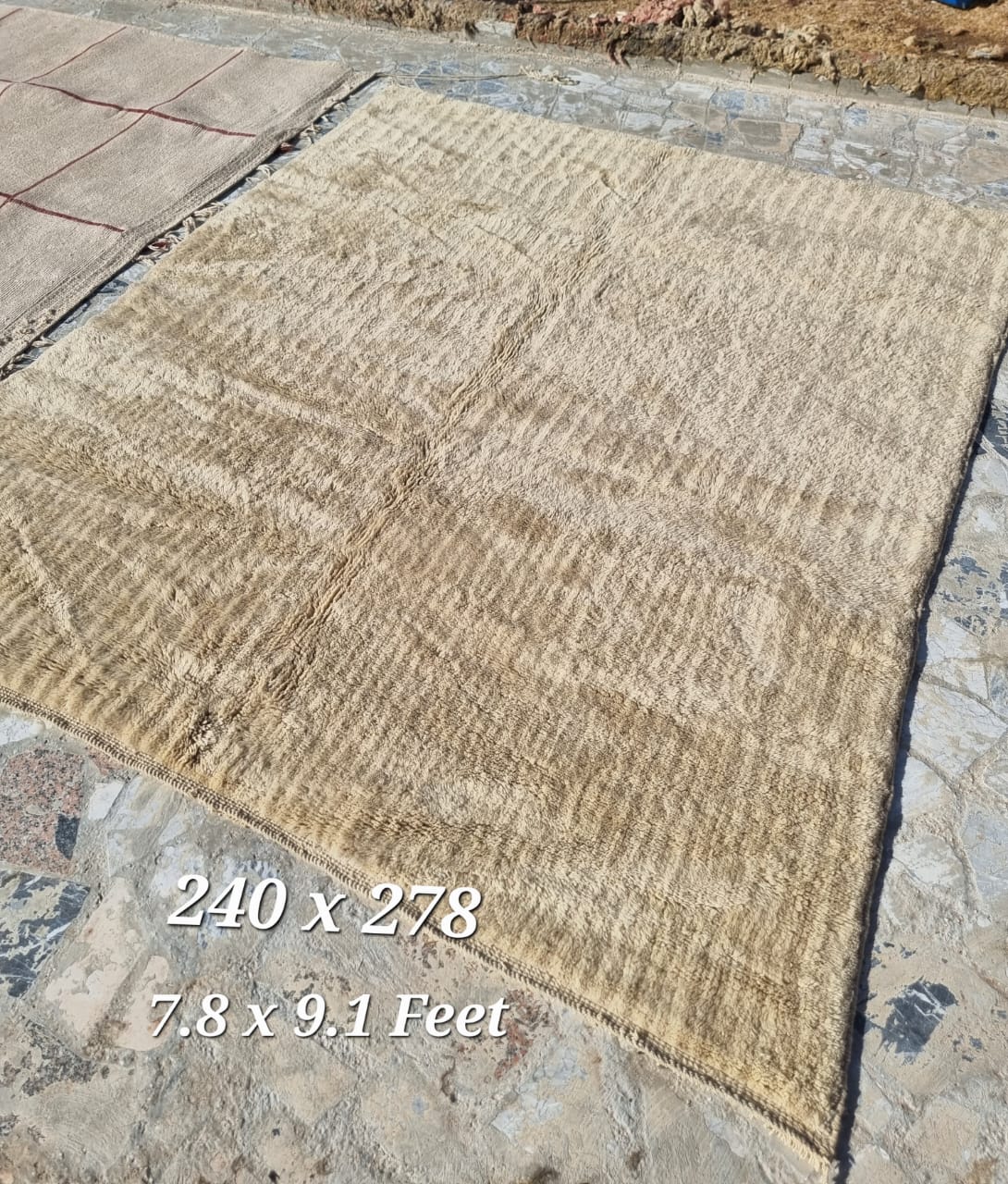 Tapis Mrirt n° 11 – Création artisanale 278 x 240 cm Tapis Mrirt beige et écru.