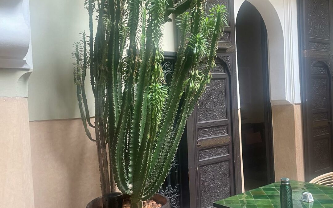 MOBILIER & ANTIQUAIRES